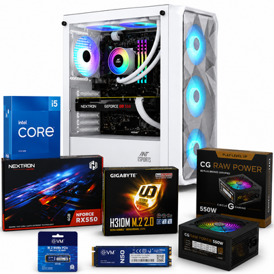 Reboxx Delta Intel Gaming PC | 4GB RX 550 Graphics | Intel Core i5 9th Gen | DDR4 RAM